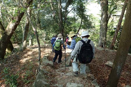 今倉山から刈寄山・急坂が続く雑木林