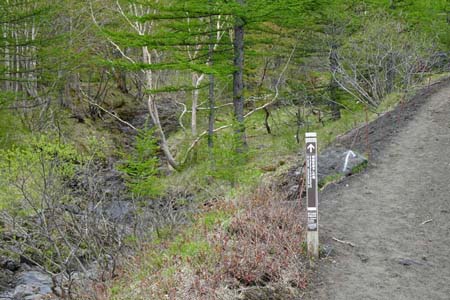 まぼろしの滝と小富士・火山灰の道を緩やかに登り初め