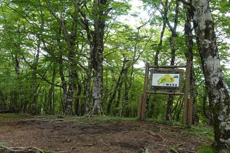 三国山から大洞山・案内板は丹沢緑の回廊