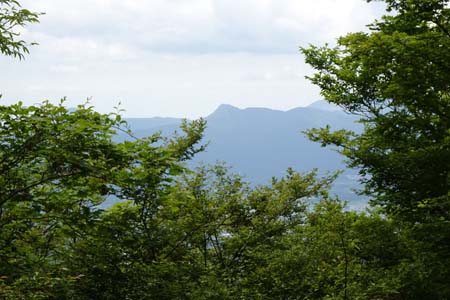 三国山から大洞山・木立の先に箱根の金時山