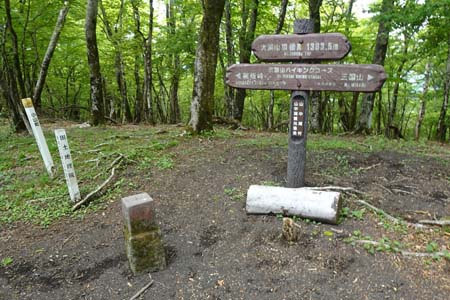 三国山から大洞山・たどり着いた大洞山