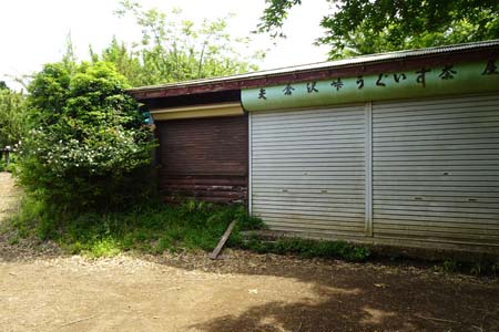 金時山・矢倉沢峠のうぐいす茶屋