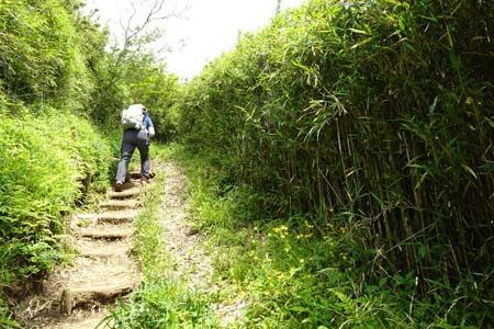 金時山・階段の坂道が始まります