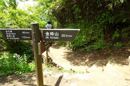 金時山・金時神社からの道を合わせ