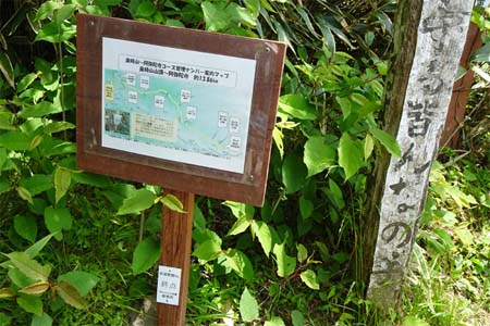 金時山・金時山から阿弥陀寺コースの管理No