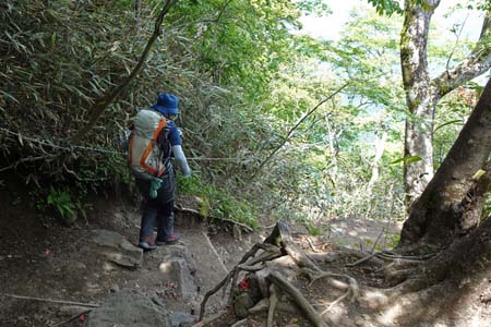 金時山・急坂を下って行きます