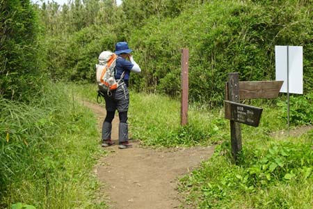 金時山・矢倉沢峠に明神ヶ岳の分岐