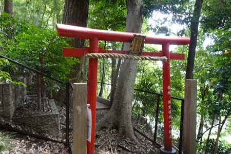 横浜市戸塚区・子育稲荷大明神の赤い鳥居
