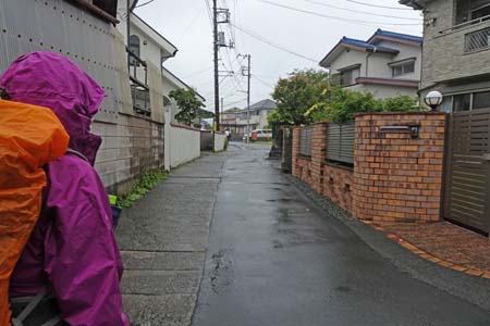 金比羅山と南沢あじさい山・雨が降る市街地