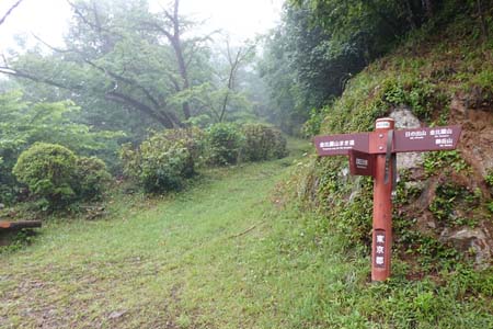 金比羅山と南沢あじさい山・左手は巻き道