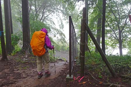 金比羅山と南沢あじさい山・登山道から林道南沢線へ