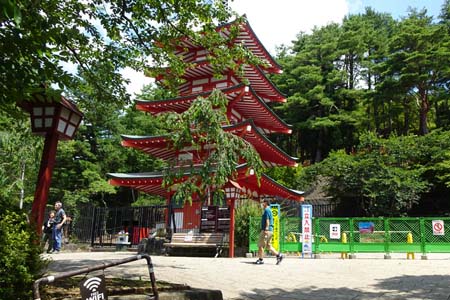 霜山から天上山・春には桜の花に包まれる五重塔