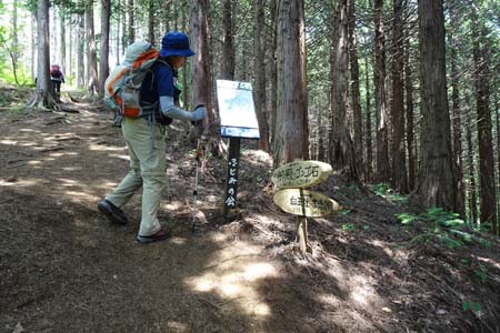 霜山から天上山・道標などが整備された登山道