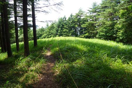 霜山から天上山・アヤメが咲くという草地はロープで囲われ