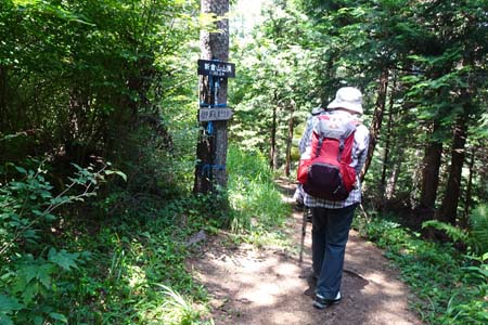 霜山から天上山・目立たない新倉山