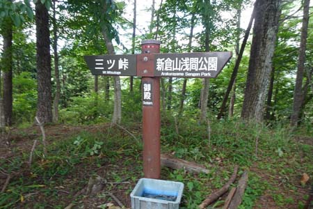 霜山から天上山・道標に従い三ツ峠方面に