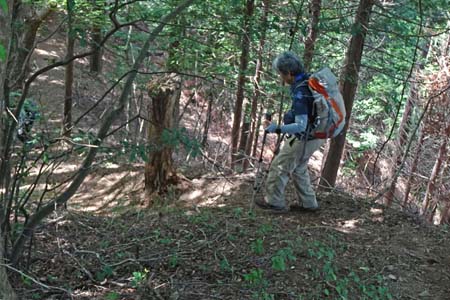 霜山から天上山・固定ロープが張られた急坂