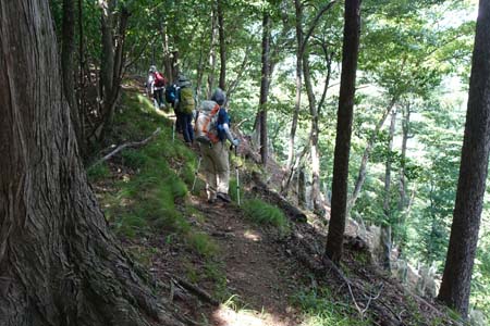 霜山から天上山・右手は植林された斜面