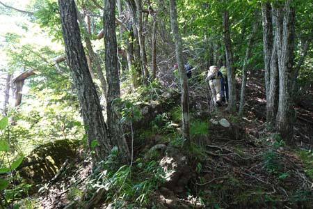 霜山から天上山・稜線の直下も固定ロープの急坂