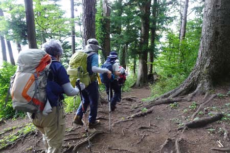 霜山から天上山・緩やかに登山道を下ると