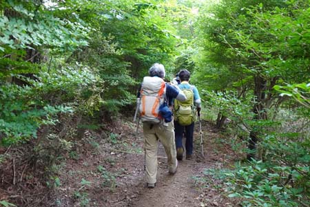 霜山から天上山・緩やかに遊歩道を下り