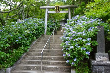 霜山から天上山・登山口に護国神社
