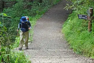 緩やかに登ると大岳山からからの道に