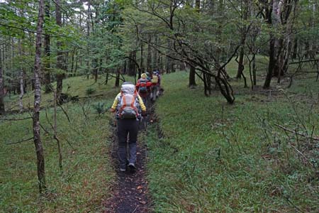 幕岩から二ッ塚・緑に包まれたハイキングコース