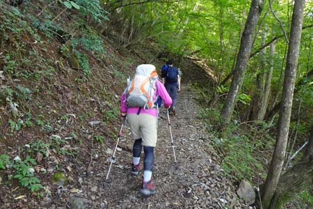 大岳山・あくば峠への登り