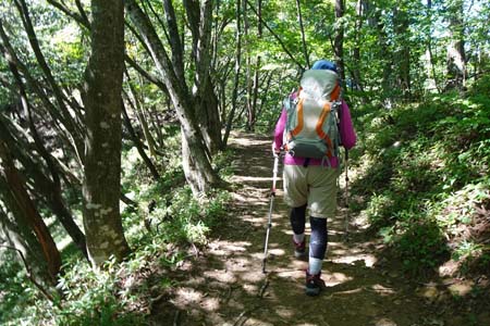 大岳山・雑木林の中の心地良い道