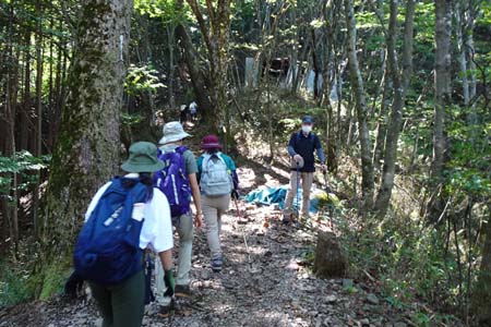 大岳山・朽ちかけた小屋跡