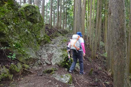 日の出山から金毘羅尾根・岩っぽいところもあります