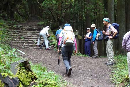 日の出山から金毘羅尾根・日の出山の巻き道が分かれています