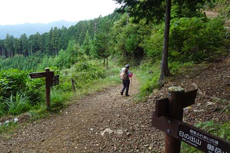 日の出山から金毘羅尾根・クロモ岩の分岐から道を右に