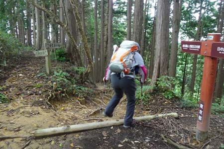 日の出山から金毘羅尾根・幸神方面への道を左に分け
