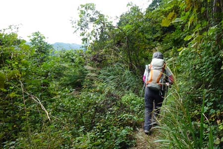 日の出山から金毘羅尾根・視界が広がる伐採地