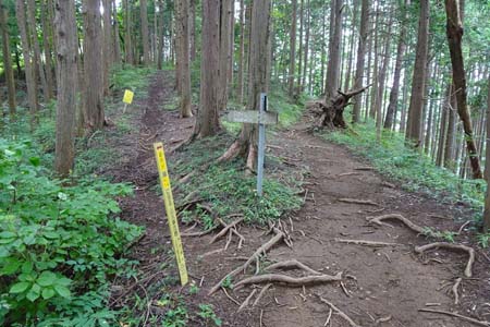 日の出山から金毘羅尾根・あじさい山への道を左に分け