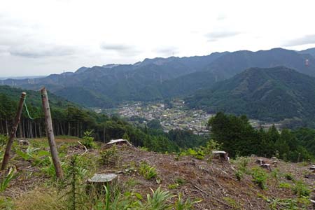 日の出山から金毘羅尾根・伐採された斜面の下には戸倉の街並み