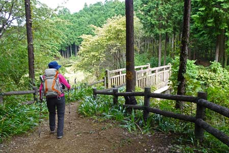 日の出山から金毘羅尾根・林道星竹線を超える橋を渡り