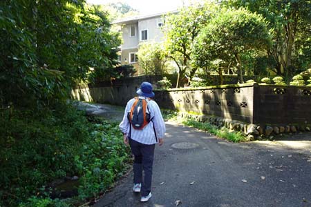 長沼公園から平山城跡公園・沢に沿って上り始める殿ヶ谷の道