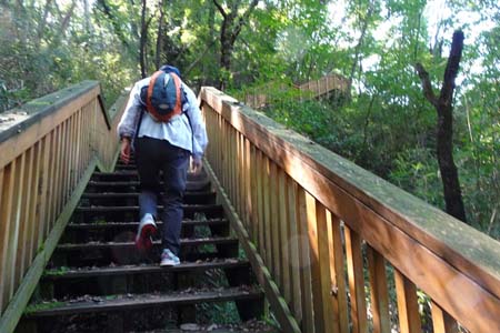 長沼公園から平山城跡公園・木の階段を登って