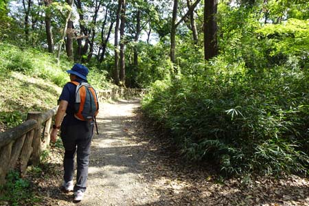 長沼公園から平山城跡公園・なだらかに続く野猿の道