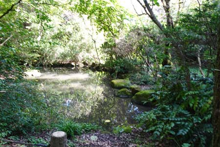 長沼公園から平山城跡公園・ひっそり水をたたえる猿渡の池
