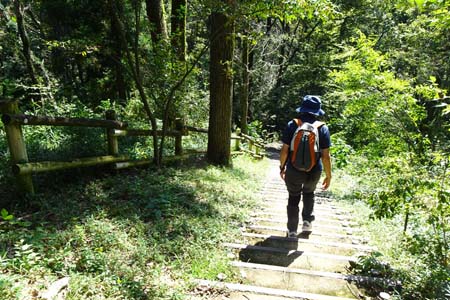 長沼公園から平山城跡公園・木の階段を下って行きます