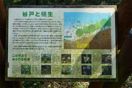 長沼公園から平山城跡公園・谷戸と植生の案内板