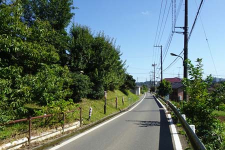 長沼公園から平山城跡公園・舗装道路を下って行きます