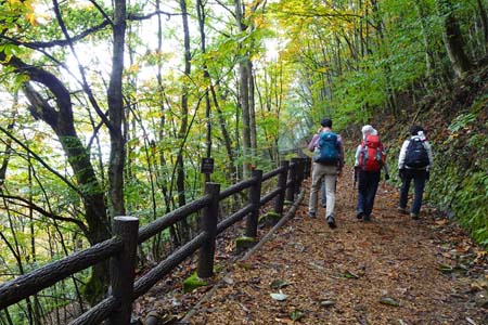 三頭山・ウッドチップが敷き詰められた道