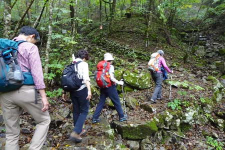 三頭山・左岸の山肌をジグザグに登り