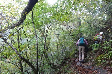 三頭山・標高はまだ１４００ｍまだ紅葉には早い