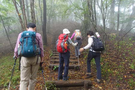 三頭山・ムシカリ峠からは木の階段